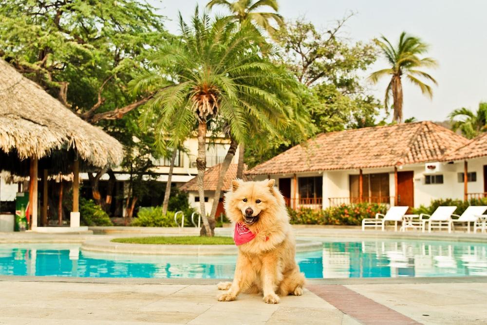 Estelar Santamar Hotel & Centro De Convenciones Santa Marta  Kültér fotó